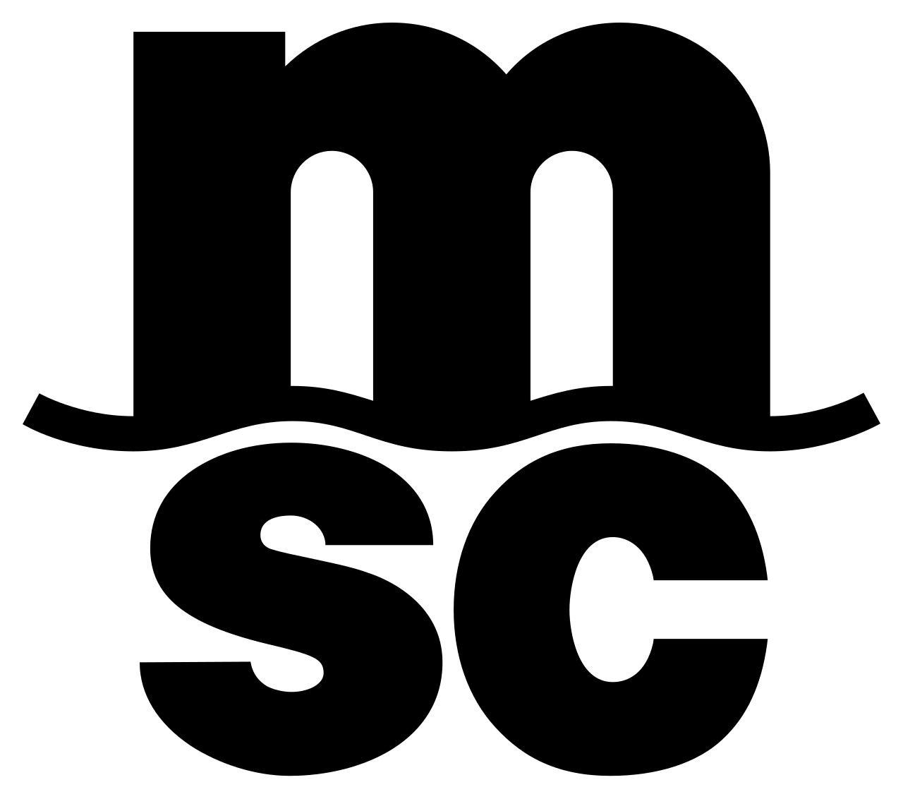 MSC Mediterranean Shipping Company